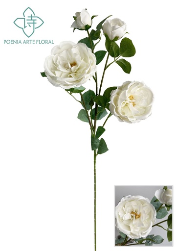 [630605-白色] Vara de rosas irlandesas para decoración 70 cm - Decoración floral