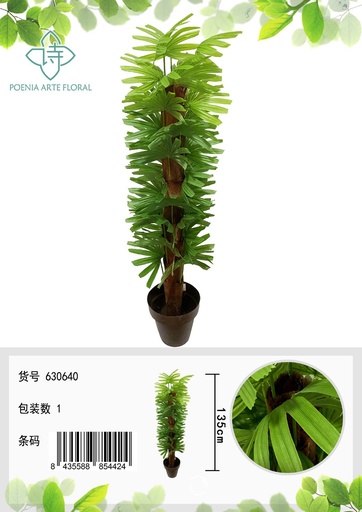 [630640] Planta de Palma de Follaje 135 cm - Plantas Decorativas