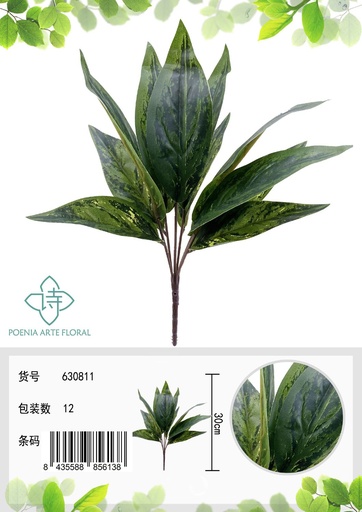 [630811] Espina de hoja de planta eterna verde 11 hojas - Plantas decorativas