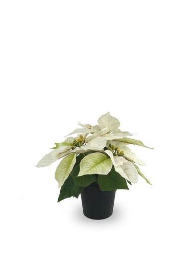 [630871-CREMA] Planta navideña artificial de 3 cabezas 25cm para decoración