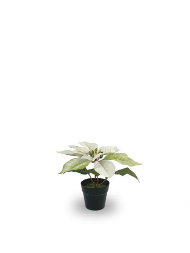 [630872-CREMA] Planta de Navidad (matiz oro y plata) - Decoraciones navideñas