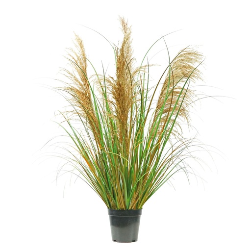 [631231] Centro de mesa con cañas naturales 90cm para decoración