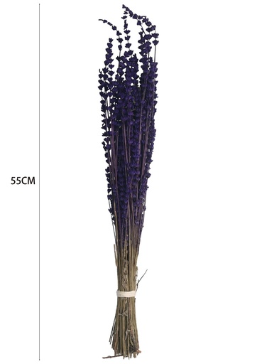 [8435588890040紫色] Lavanda preservada para decoración