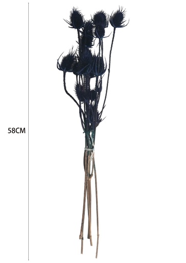 [8435588890095深蓝] Flor seca Deve Dikeni preservada para decoración