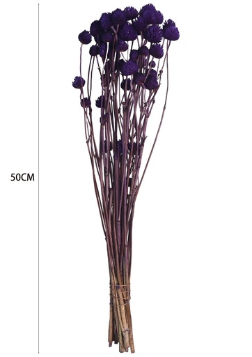 [8435588890101紫色] Ramo de flores Echinops preservadas - Decoraciones