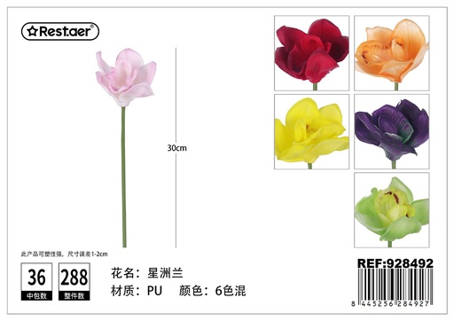 [928492] Flores artificiales (estrella de Singapur) para decoración